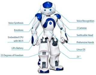 SOFTWARE DEVELOPMENT IN INDIA