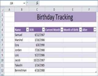 Birthday Tracking in Excel