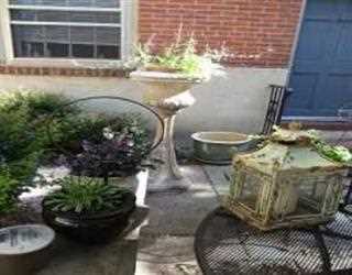 Why Your Office Needs Interior Plant Design