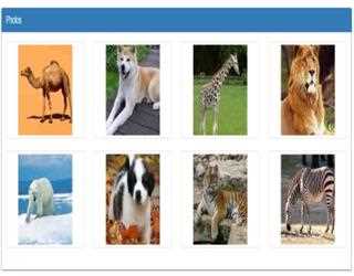 Image viewer using bootstrap carousel