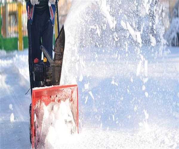 What options do you have for Snow Removal?