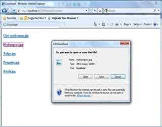 Upload Image in Database  MVC