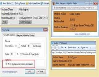 Print and Print Preview separately using HTML, CSS and JavaScript