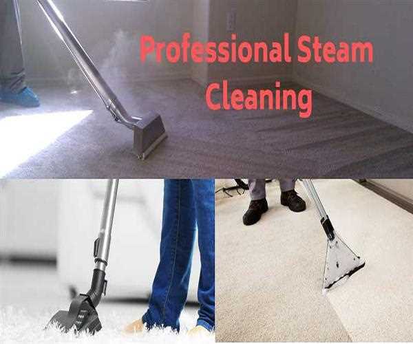 What do you understand by Carpet Steam Cleaning?