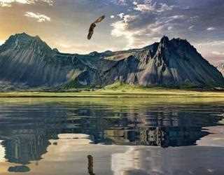 New Zealand ETA Application Form image