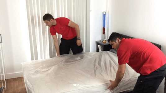 How to prepare for the professional movers?