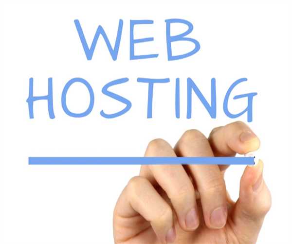 How to successfully host your website in detail?