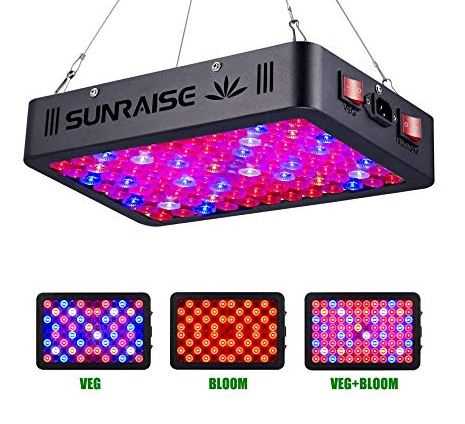 How Do LED Grow Lights Work? Ultimate Guide For Gardening