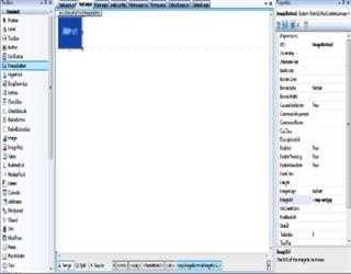 ImageButton in ASP.Net