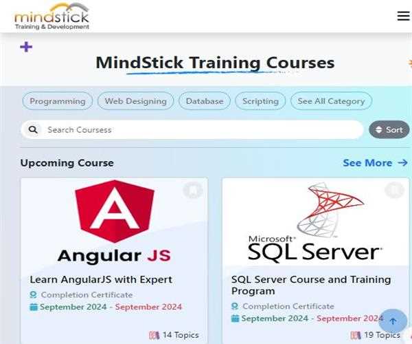 MindStick Training For Best Software Development Courses