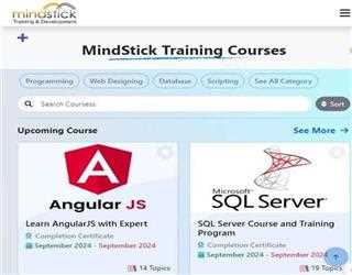 MindStick Training For Best Software Development Courses image