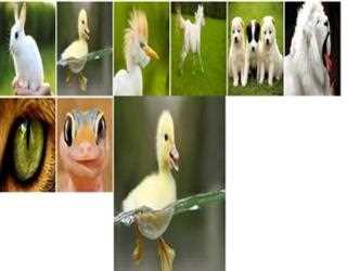 Zoom Effect Using CSS3