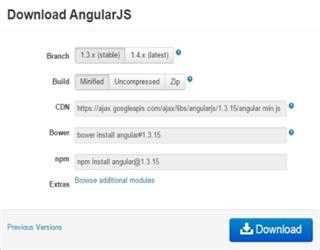 Angularjs Environment setup