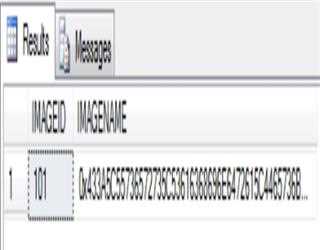 Store image in SQL Server database