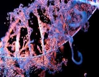 Impact of Artificial Intelligence on Genomics