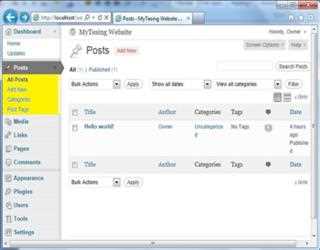 WordPress Admin Panel