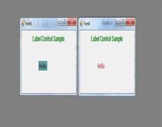 Label Control in C#.Net