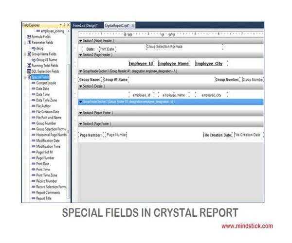 Special Fields in Crystal Report – MindStick
