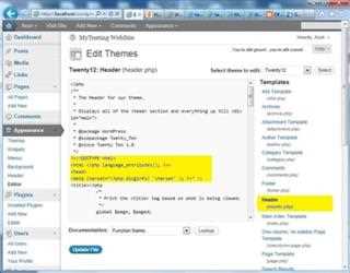 Meta Tags in WordPress