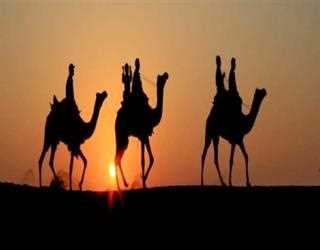 Delhi rajasthan tour packages