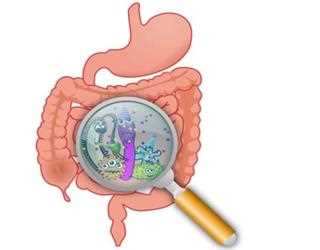 5 Cool Probiotics to Try for The Happiest Gut of Your Life