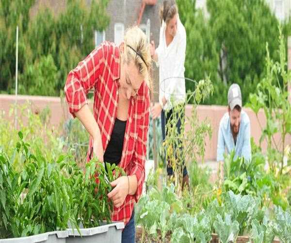 Introducing Top Formula to Write An Impressive Business Environment Assignment