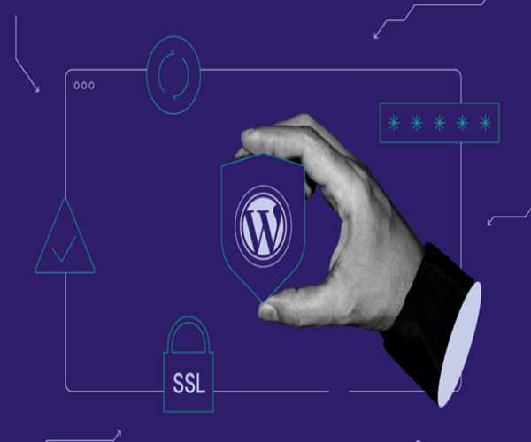Guarding Against Spam: Strategies to Keep Your Website Secure