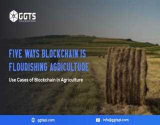 Five Ways Blockchain is Flourishing Agriculture — Use Cases of Blockchain in Agriculture