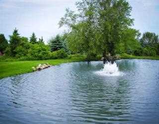 Why Is Aeration Vital In Your Pond Or Lake?