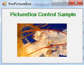 PictureBox Control in C#.Net – MindStick