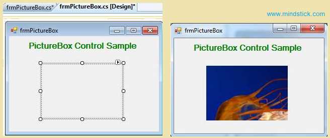 PictureBox Control in C#.Net