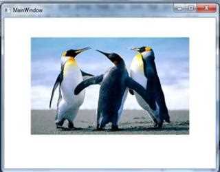 Image control in WPF