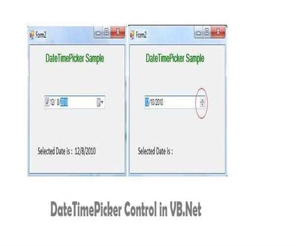 DateTimePicker Control in VB.Net