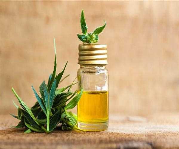 CBD Oil 101: Uses, Benefits, Side Effects