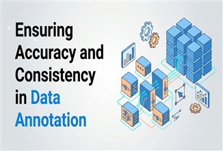 Ensuring Accuracy and Consistency in Data Annotation
