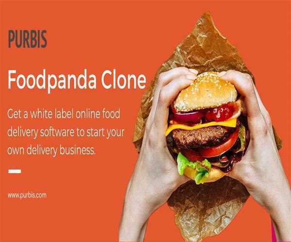 Why is the Foodpanda clone app gaining huge popularity?