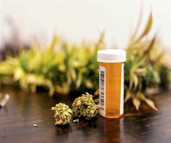 A Comprehensive Guide to Medical Cannabis