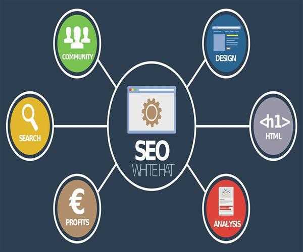 Fundamental Things That You Need To Know About SEO