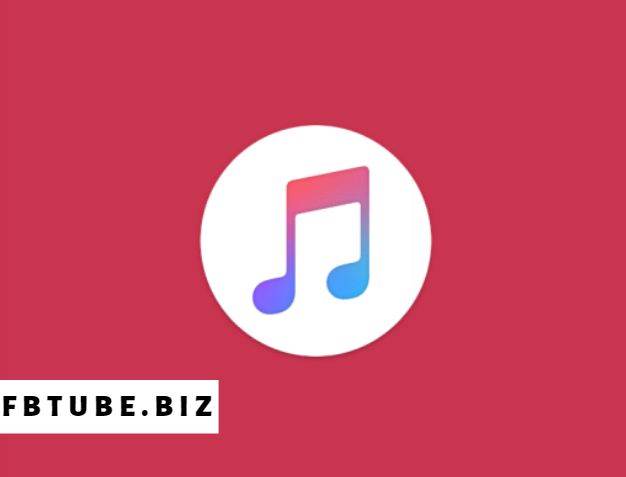 Why Do We Need Online Video Converter?