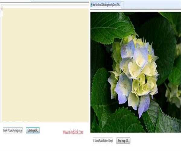 Dynamically loading image in Image control in ASP.NET
