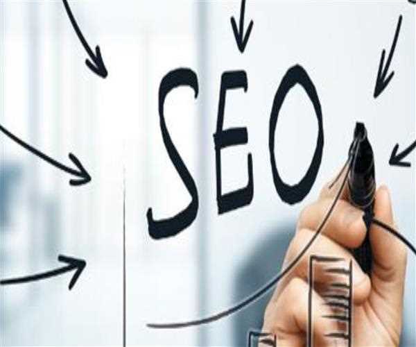 7 Beginner’s Guide to Ranking Higher