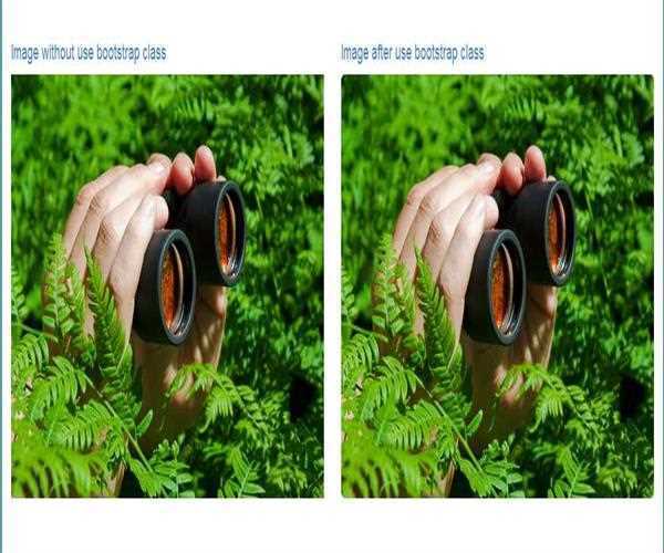 Bootstrap Grid and Image style – MindStick