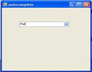 Auto complete text in Combo Box