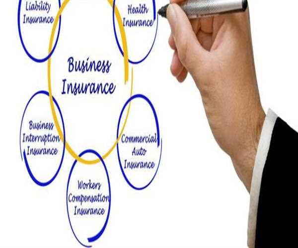 Important Information About Business Liability Insurance