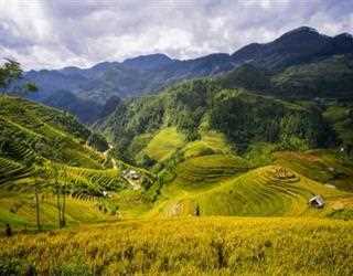 Where Will You Go for Trekking in Vietnam