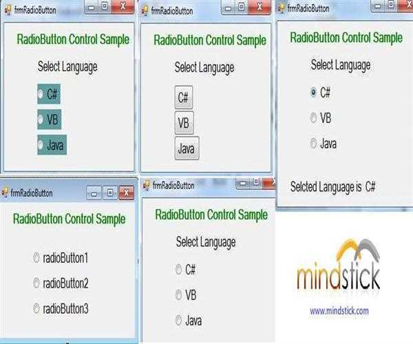 RadioButton Control in C#.Net