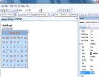 Calendar Control in ASP.Net