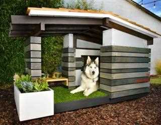 How to Choose a Dog House
