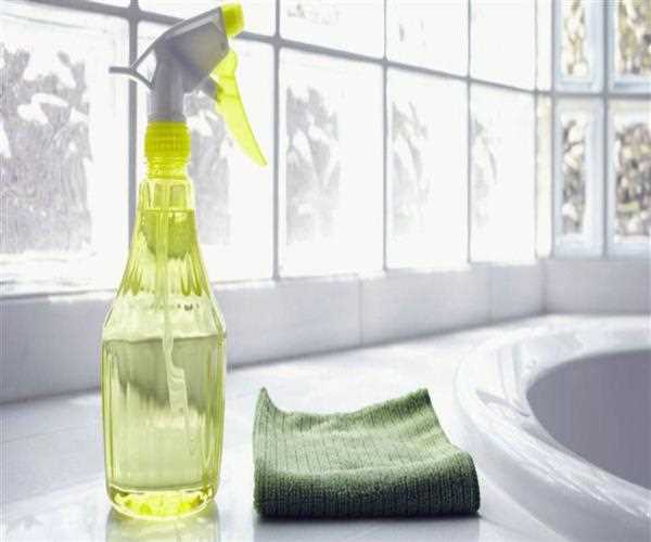 Bond back cleaning brisbane