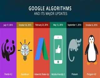 Google Updates | Penguin, Hummingbird And Rank Brain |